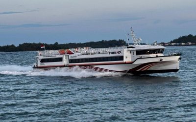 D’ Camel Fast Cruise